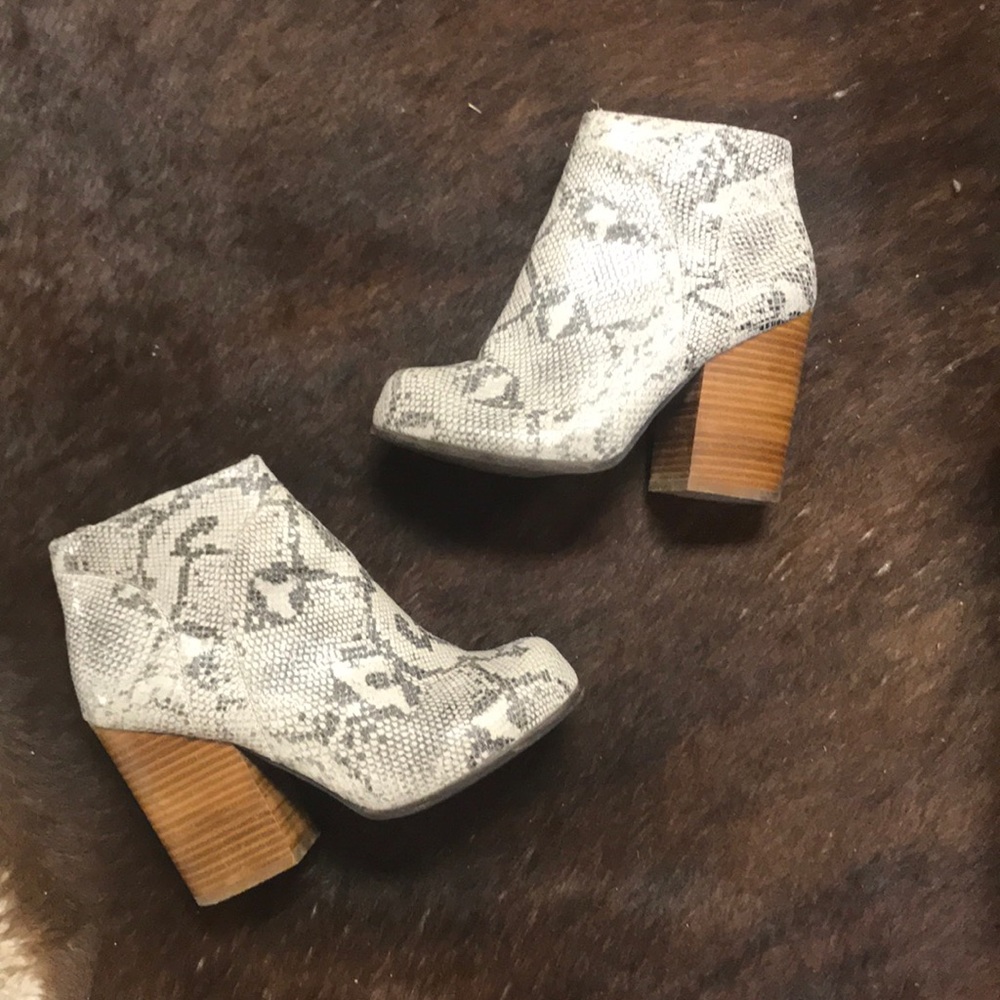 Jeffery Campbell snake skin booties 🖤🐍